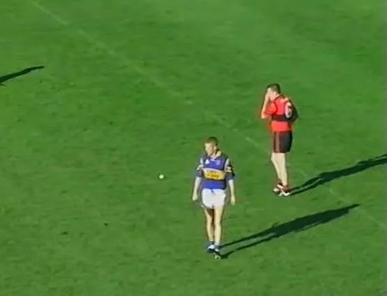 Adare v Patrickswell - SHC Final (2001)