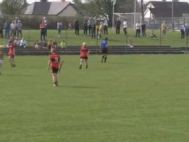 Adare v South Liberties - SHC Group (2019)